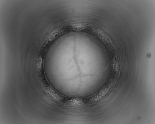 X0000097860660200803281313