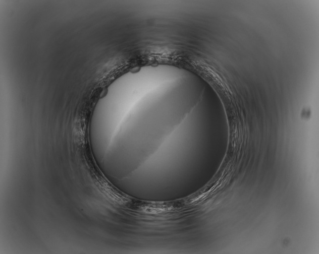 X0000097860661200803281313