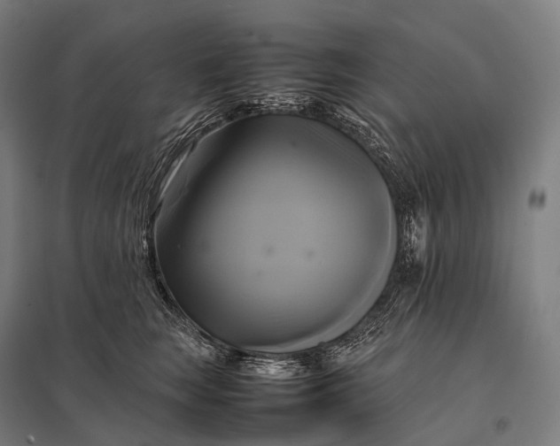 X0000097860663200803281313