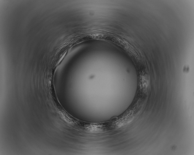 X0000097860664200803281313