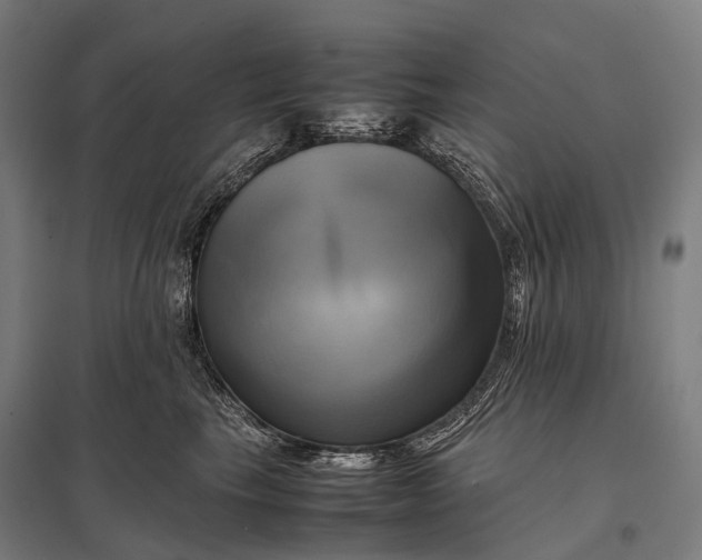 X0000097860665200803281313