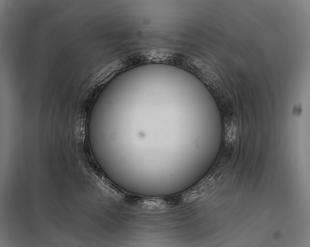 X0000097860666200803281313