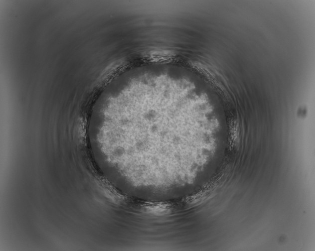 X0000097860667200803281313