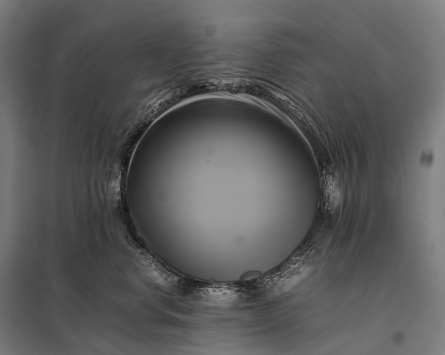 X0000097860668200803281313