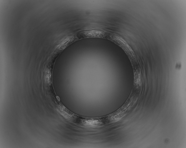 X0000097860669200803281313