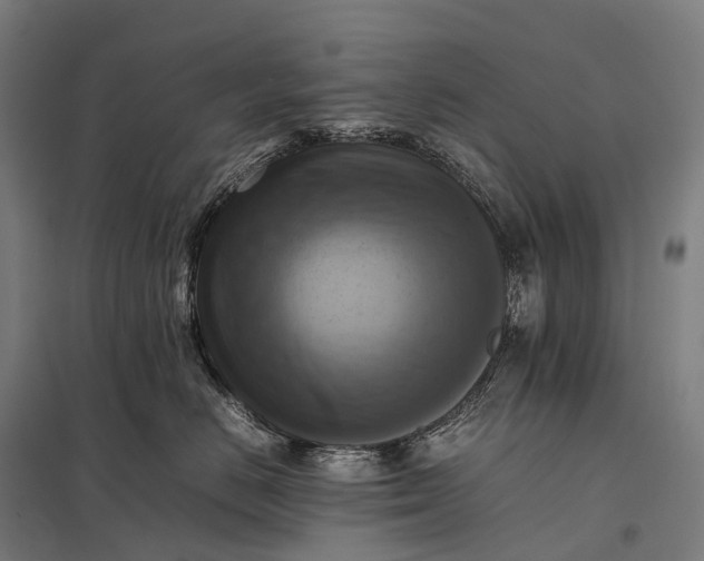 X0000097860670200803281313