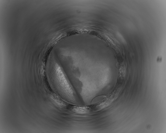 X0000097860671200803281313