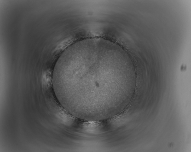 X0000097860672200803281313