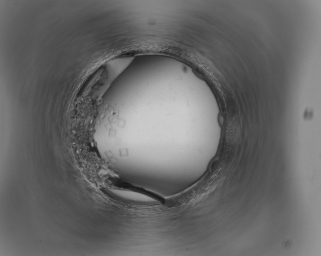 X0000097860673200803281312