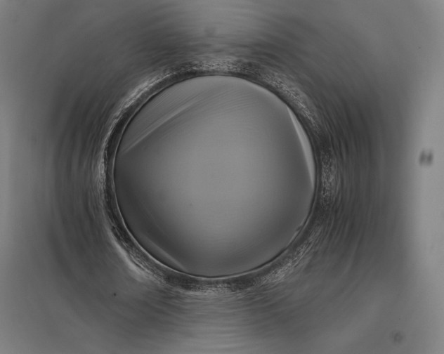 X0000097860674200803281312