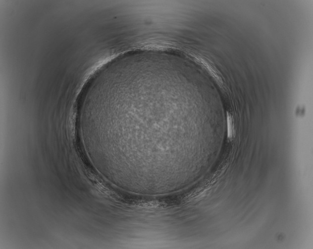 X0000097860675200803281312