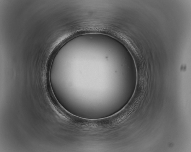 X0000097860677200803281312