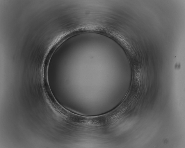 X0000097860678200803281312