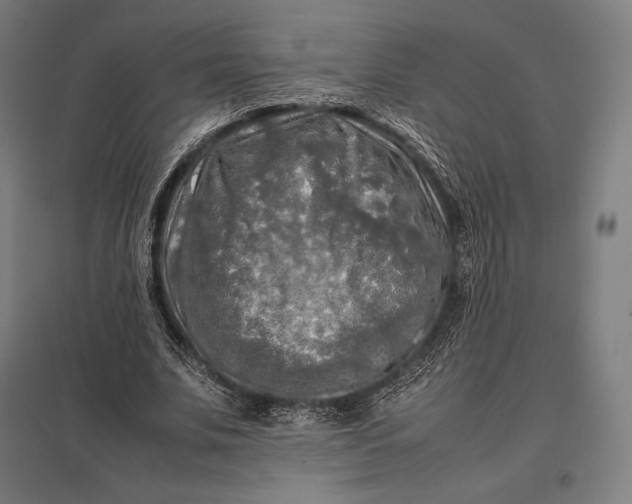 X0000097860679200803281312