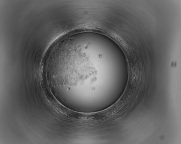 X0000097860680200803281312