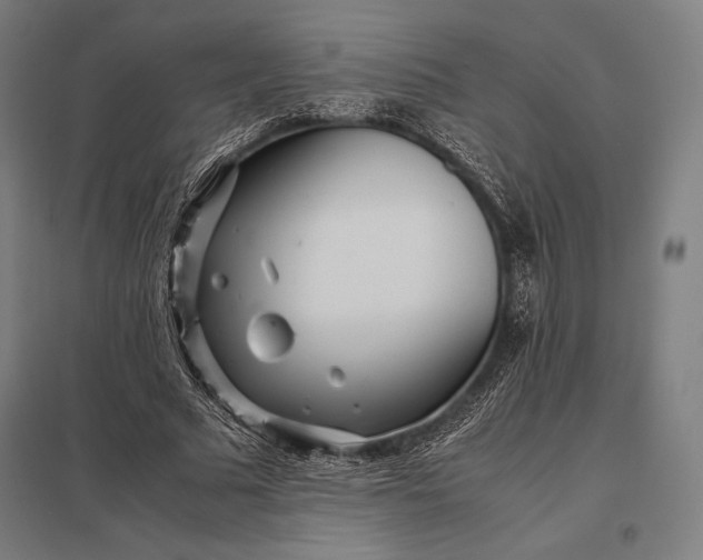 X0000097860681200803281312