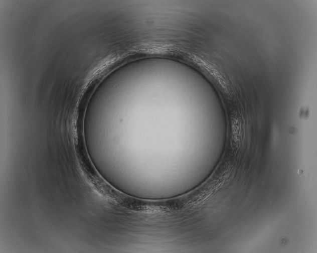 X0000097860682200803281312