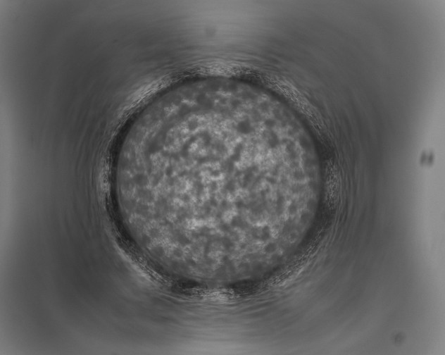 X0000097860683200803281312