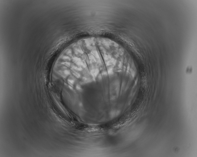 X0000097860687200803281312