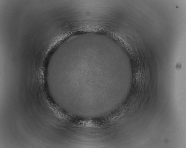 X0000097860688200803281312