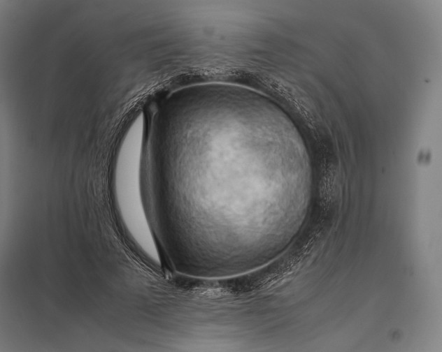 X0000097860689200803281312