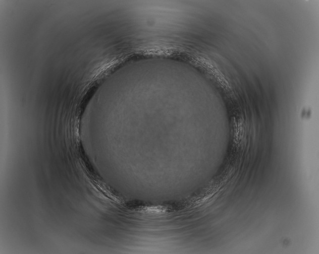 X0000097860692200803281312