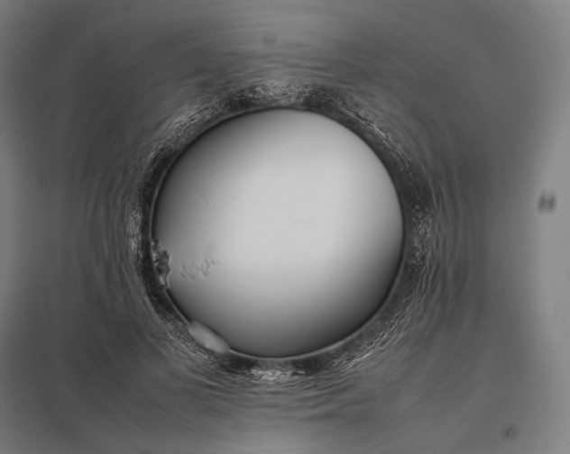 X0000097860693200803281312