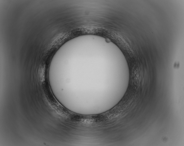 X0000097860694200803281312