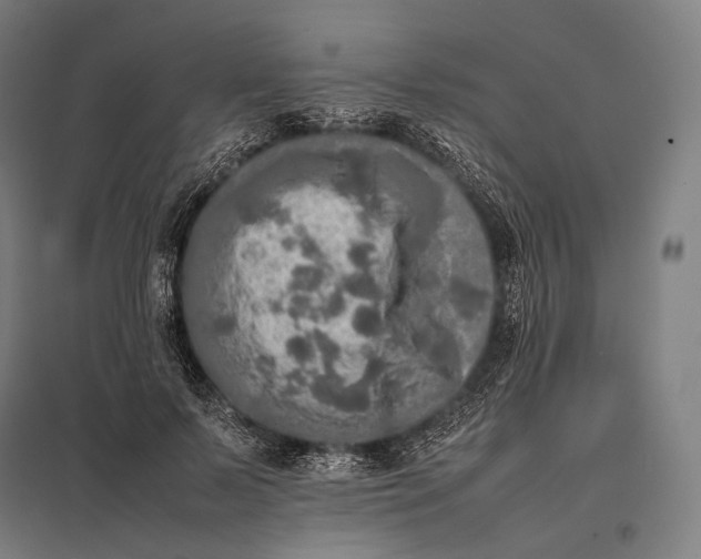 X0000097860695200803281312