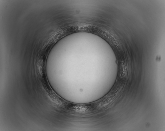 X0000097860698200803281312