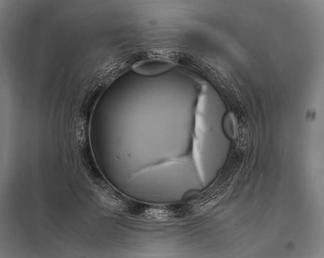 X0000097860699200803281312