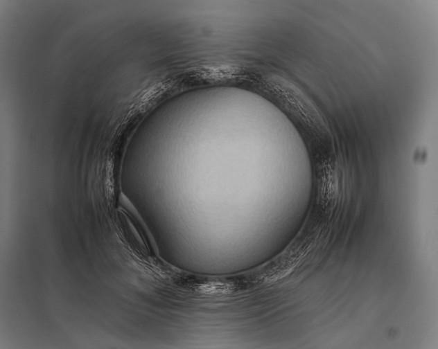 X0000097860700200803281312