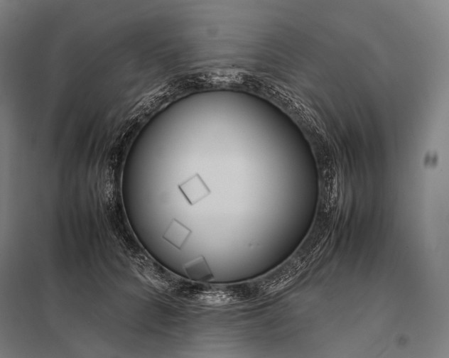 X0000097860704200803281312