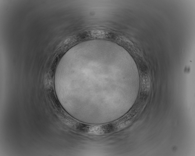 X0000097860705200803281312