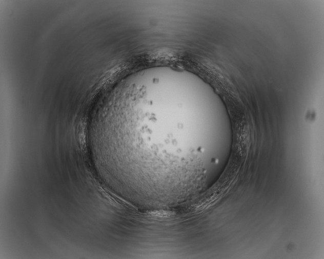 X0000097860708200803281312