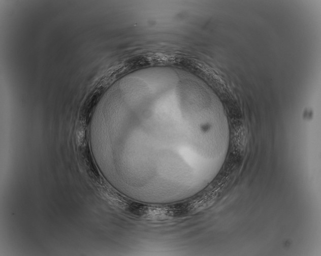 X0000097860709200803281312