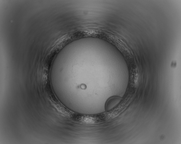 X0000097860710200803281312