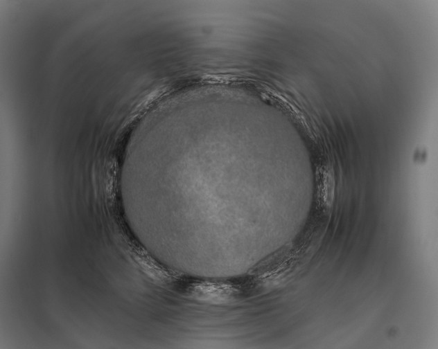 X0000097860712200803281312