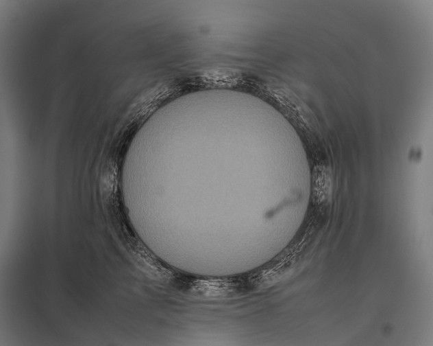 X0000097860713200803281312