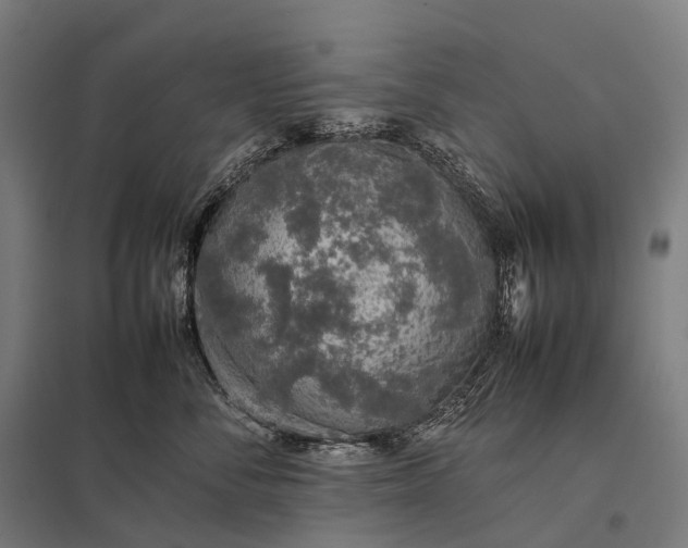 X0000097860716200803281312