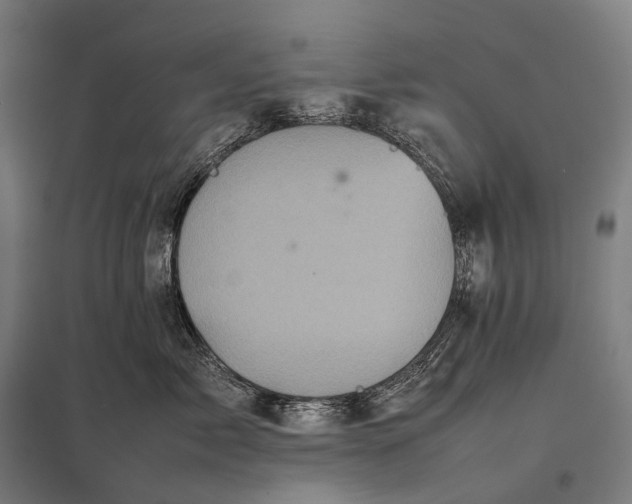 X0000097860717200803281312