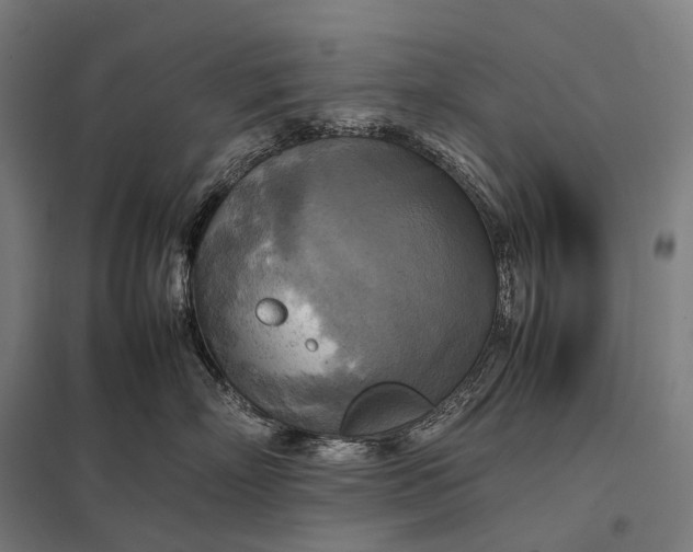 X0000097860718200803281312