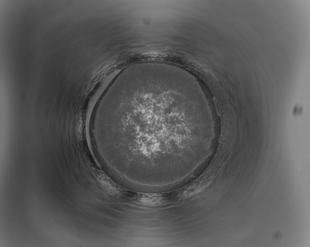 X0000097860720200803281312