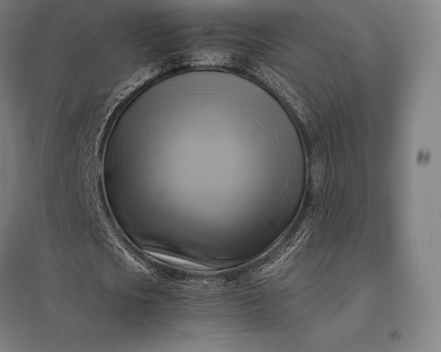 X0000097860721200803281311