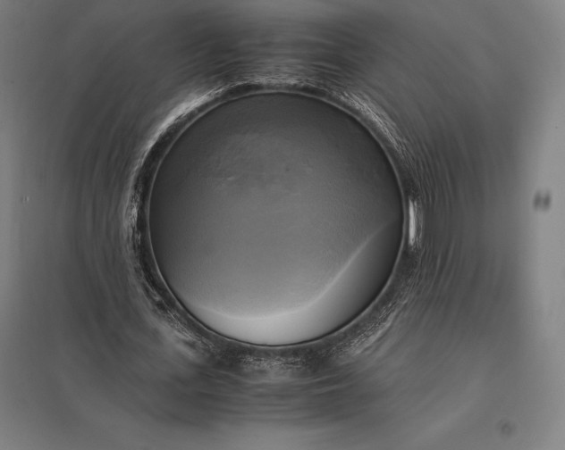 X0000097860723200803281311