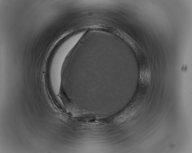 X0000097860724200803281311