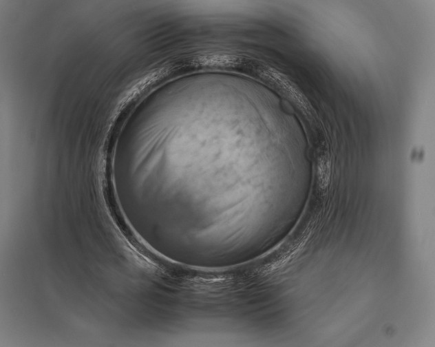 X0000097860725200803281311