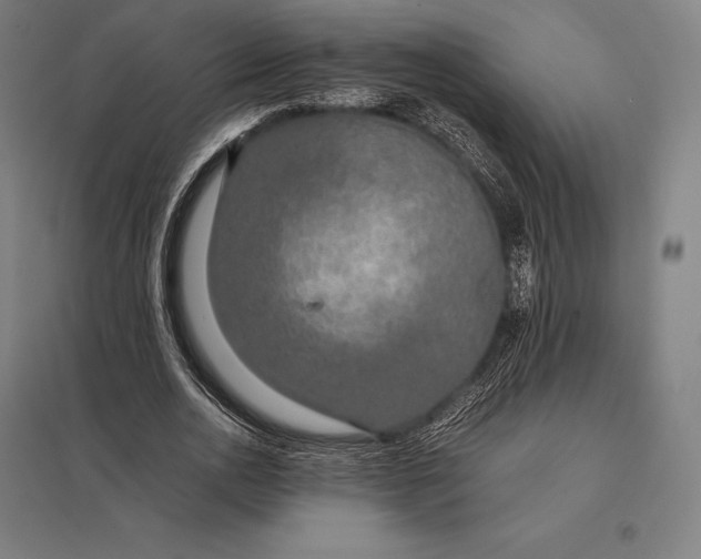 X0000097860726200803281311