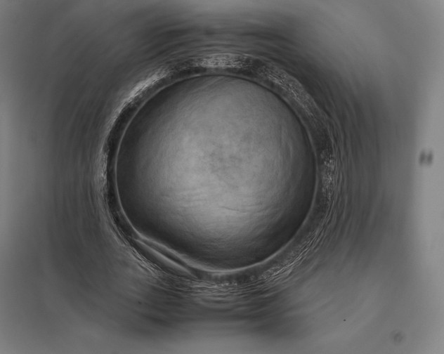 X0000097860727200803281311