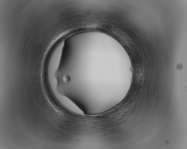 X0000097860728200803281311